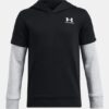 Hanorac cu glugă din fleece Icon