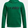 Hanorac cu glugă și imprimeu Rival Fleece Wordmark