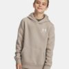 Hanorac cu glugă Icon Fleece