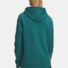 Hanorac cu glugă Icon Fleece