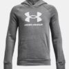 Hanorac cu glugă Rival Fleece Big Logo