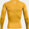 HeatGear® Compression cu mâneci lungi